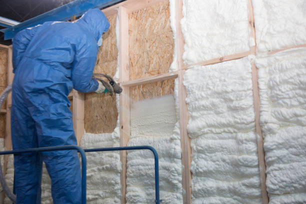 Best Insulation for New Construction  in Frankl, IN